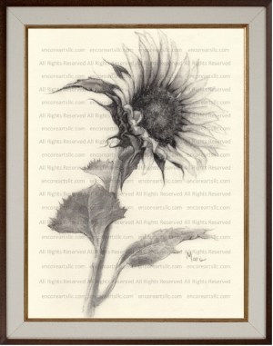 Sunflower 2 (Charcoal) Art Print by Marc, Encore Arts, LLC