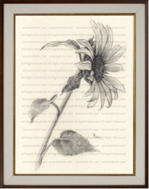Sunflower 5 Charcoal Drawing Print by Marc, Encore Arts, LLC