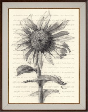 Sunflower 8 Charcoal Drawing Print by Marc, Encore Arts, LLC