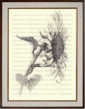 Sunflower 9 Charcoal Drawing Print by Marc, Encore Arts, LLC