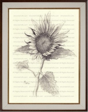 Sunflower 11 Charcoal Drawing Print by Marc, Encore Arts, LLC