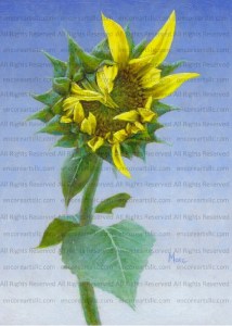 Sunflower #03 Print of Oil Painting by the artist Marc