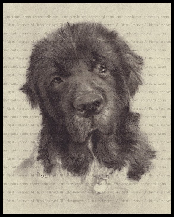 Hannah Completed Pet Commission Example