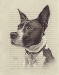Shadow Encore Arts, LLC Pet Portrait Commission by the artist Marc