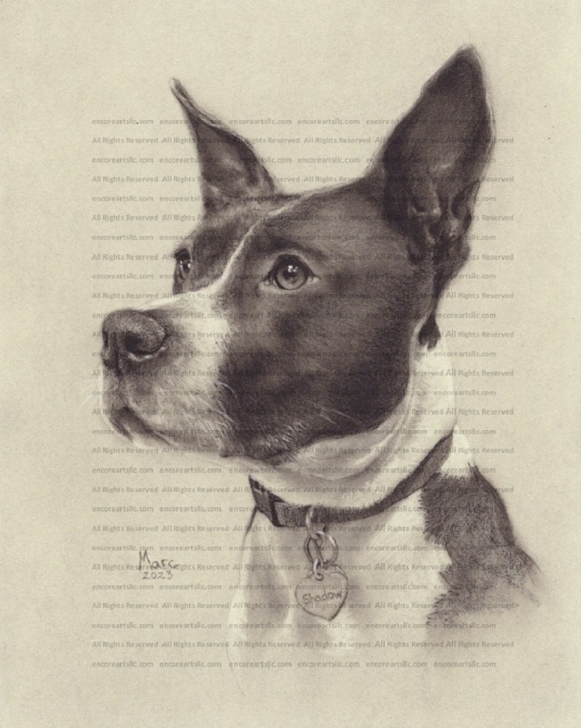 Shadow - Pet Portrait Commissions by Marc, Encore Arts, LLC Artist, Pit-Terrier Mix
