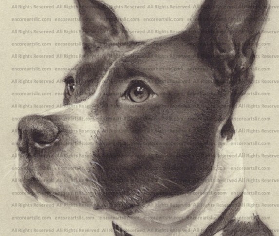 Online Shop Encore Arts, LLC
Pet Portrait Commissions, Gift Certificates and Prints by the Kansas Artist Marc