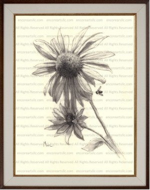 Sunflower 16 Charcoal Drawing Art Print by Marc, Encore Arts, LLC