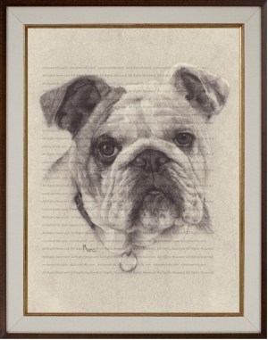 Harley, an English Bulldog Art Print of a Charcoal Drawing by Kansas Artist, Marc, Encore Arts, LLC