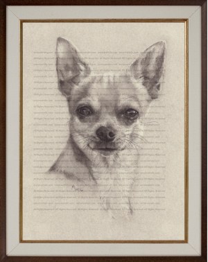 Button, a Shorthaired Chihuahua Art Print of a Charcoal Drawing by Marc, Encore Arts LLC