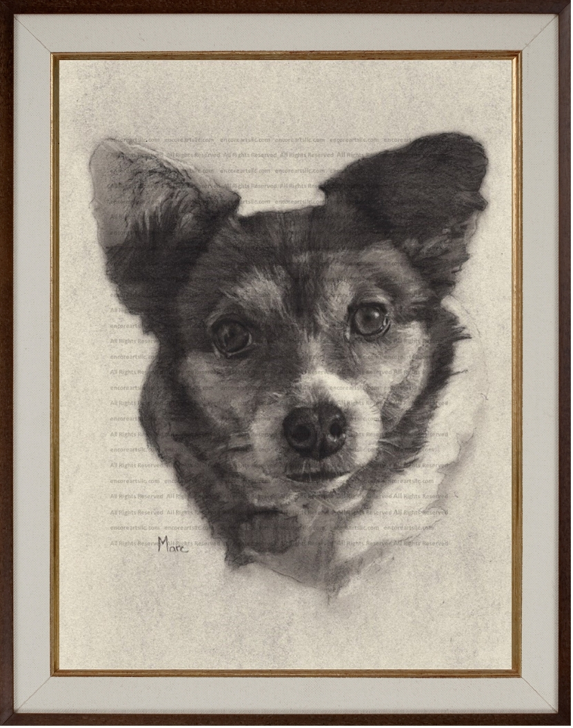 "Bambi", a Corgi art print of an original charcoal drawing by the Wichita, Kansas artist Marc, Encore Arts, LLC