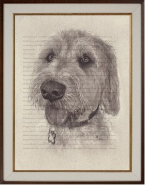Labradoodle Art Print (Wrigley) Charcoal Drawing Print by Marc