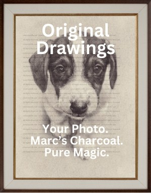 Pet Portrait Commission by Wichita, Kansas Artist Marc, Encore Arts, LLC