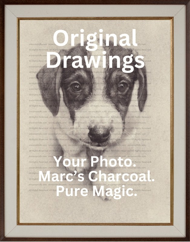 Pet Portrait Pet Commissions Shop- Linked Image to Pet Portrait Commissions