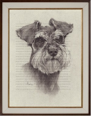 Schnauzer (Angus) Charcoal Drawing Print by Marc, Encore Arts, LLC