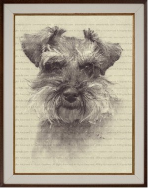 A Schnauzer Art Print Charcoal Drawing by Marc, Encore Arts, LLC