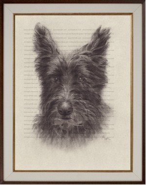 Pet Portrait Commissions | Scottish Terrier (Fala) Charcoal Drawing Print by Kansas Artist Marc, Encore Arts, LLC
