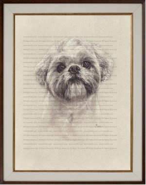 Shih Tzu (Meeko) Charcoal Drawing Print by Marc, Encore Arts, LLC