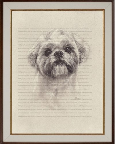 Pet Portrait Commissions | Shih Tzu (Meeko) by Kansas Artist Marc, Encore Arts, LLC