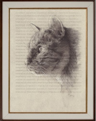 Pet Portrait Commissions | Tabby Mix (Conan) by Kansas Marc, Encore Arts, LLC