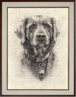 Weimaraner Mix Art Print Charcoal Drawing by Marc, Encore Arts, LLC