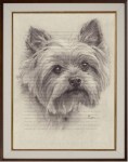 Pet Portrait Commission Form, Yorkshire Terrier "MoMo" Charcoal Drawing by Kansas artist, Marc.  Encore Arts, LLC